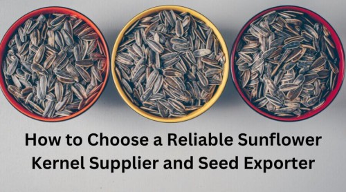 How to Choose a Reliable Sunflower Seed Kernel wholesale and Seed Exporter