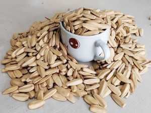 Seeds