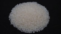 Wholesale High Quality Broken A1 Super Rice Direct from Mill in Cambodia at the cheapest price in market