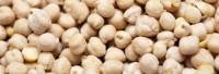 Wholesale Peas /Pisum sativum at Cheapest, Good Quality Guaranteed