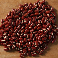 Wholesale Black Beans from Brazil with very cheap prices for genuine buyers globally