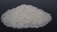 Wholesale Fragrant Rice SRO with good quality Directly from Mill in Cambodia at the cheapest price in market